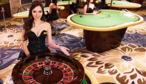 เว็บบาคาร่าที่ดีที่สุด